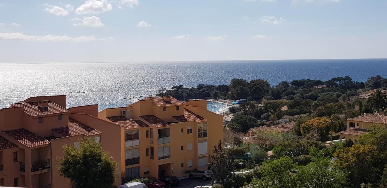 T1 Vue Mer Bord De Mer Ajaccio Ajaccio  Exterior photo